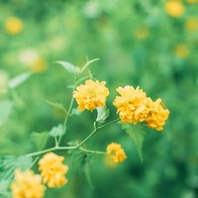我切糕贼溜官方版